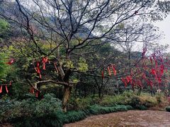 -黄公望隐居地