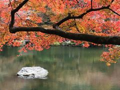 -醍醐寺