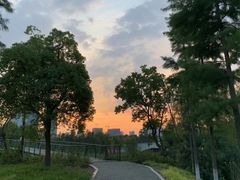 -尚贤河湿地