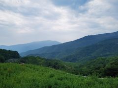 -阳台山自然风景区
