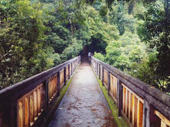 -鼎湖山风景区