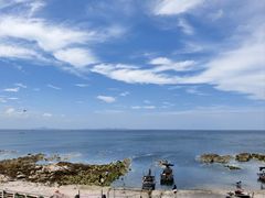 -养马岛旅游度假区