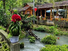 -青城甲(青城山店)