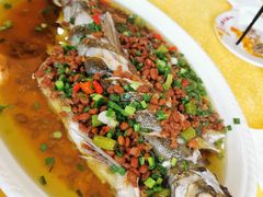 -胖大姐黄辣丁鱼庄(新津店)