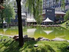 -黑河国家森林公园