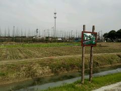 -田园东方蜜桃村的田野营地
