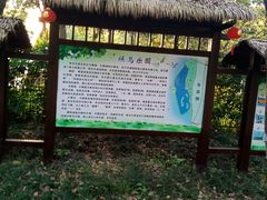 -艾溪湖湿地公园