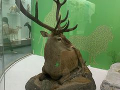 -国家自然博物馆