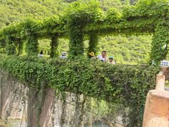 -郧西五龙河风景区