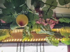 -东鸽皇(奥园·中环广场店)