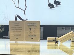 -BLACKSWAN黑天鹅(环球店)