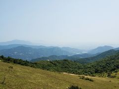 -大姆山草场