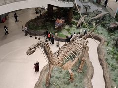 -辽宁古生物博物馆