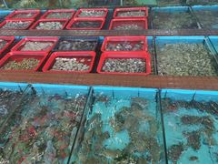 -景好海鲜餐厅(大鹏必选旅游店)