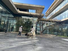 -廊坊固安福朋喜来登酒店