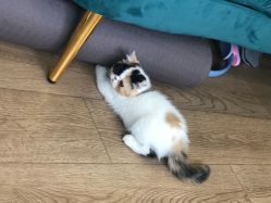 -沫儿·美甲美睫·半永久·皮肤管理