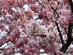 -苏州上方山国家森林公园