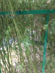 -北京英煌医疗美容