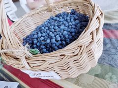 -金谷域澳洲庄园