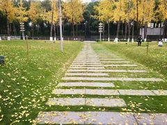 -重庆市江北嘴中央商务区中央公园