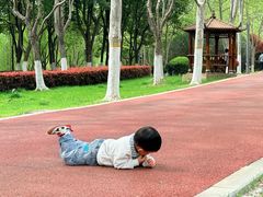 -滨湖塘西河公园
