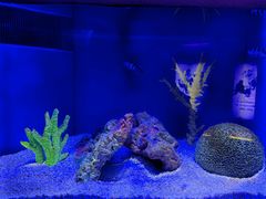 -上海海洋水族馆
