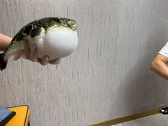 -鲐赏河豚(长寿店)