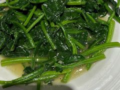 菠菜-金枝玉叶上海人家食府(三里河店)