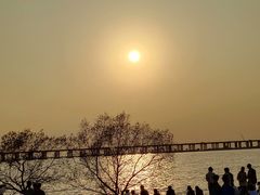 -宝安西湾红树林湿地公园