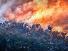 -罗红摄影艺术馆