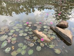 -红色娘子军纪念园