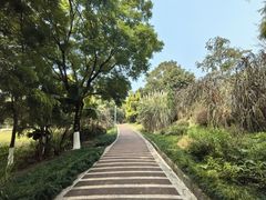 -金海湾滨江公园