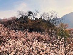 -崂山九水游览区
