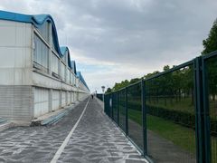 -鹦鹉洲湿地公园