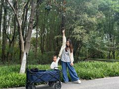 -昆山城市生态森林公园