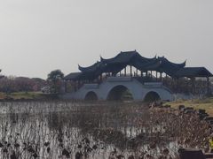 -上海海湾国家森林公园