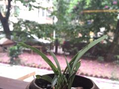 -看书吧(体育东横路店)