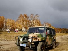 -乌兰布统景区-白桦林