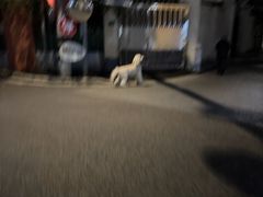 -厝内小眷村(长宁定西路店)