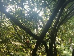 -烟台山景区