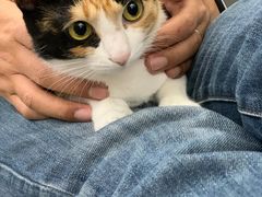 -爱诺耐芙动物医院(万博店)