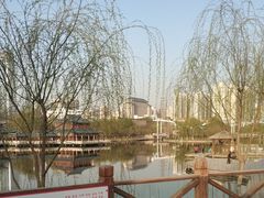-雁滩公园
