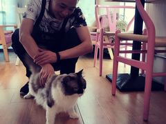 -灯塔咖啡馆BOOK·Coffee Shop