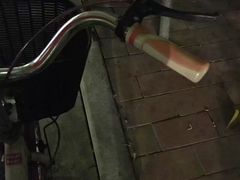 -东风公园