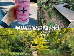 -杭州半山国家森林公园