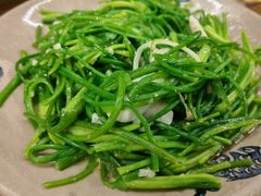 -马帮菜馆·美味野生菌