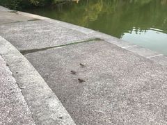 -深圳大学保龄球馆