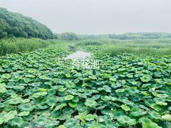 -同里国家湿地公园