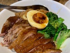 金牌鹅肉饭-陈鹏鹏潮汕菜(宝安机场T3航站楼店)