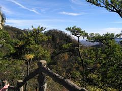 -王顺山国家森林公园